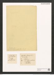 Gomphonema olivaceum (Lyng.) Kuetz. (de-Toni-Nr.: Genus 37, Species 1758) Zeichnungen Sammlung Grunow (NHMW-BOT-W0371058)